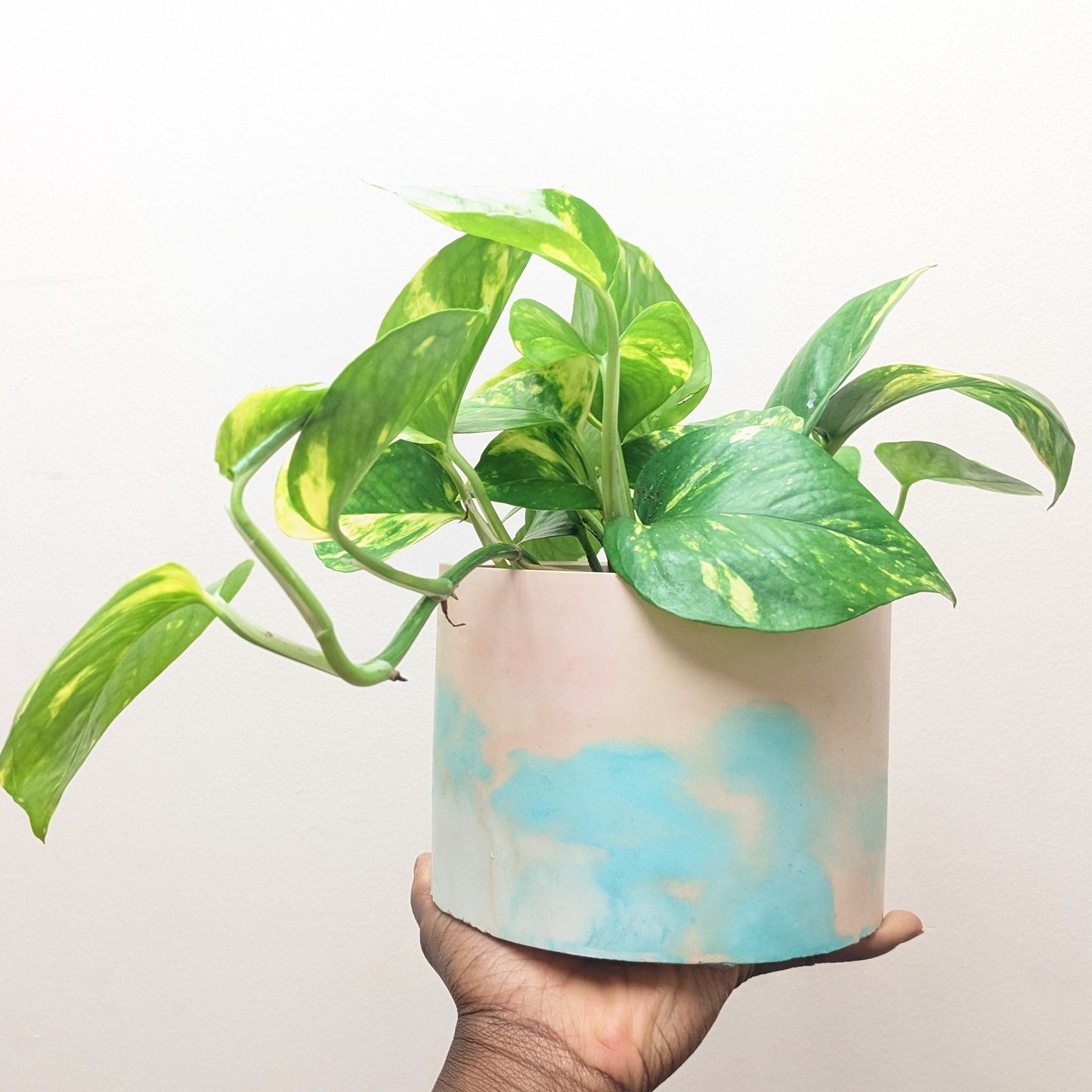 Pastel plant pot 15cm