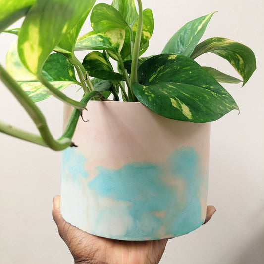 Pastel plant pot 15cm