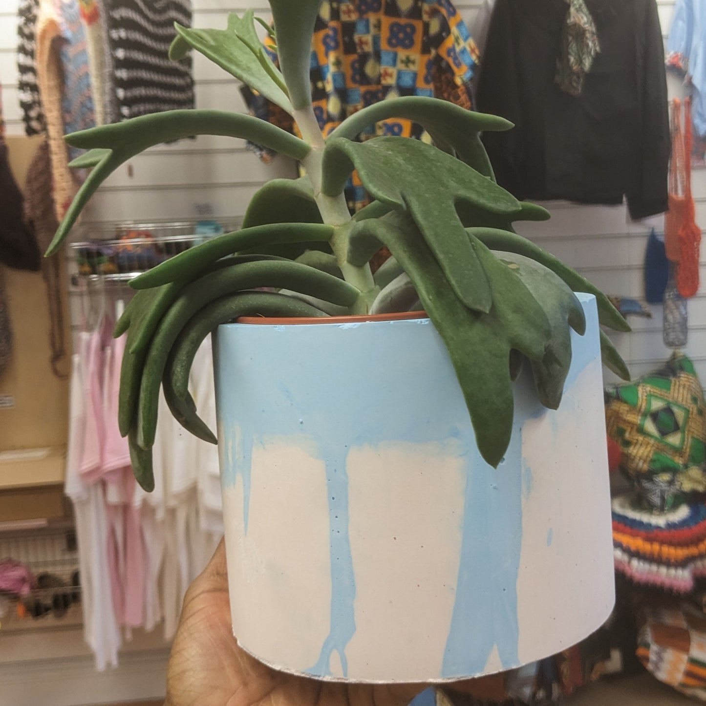 Large blue drip effect plant pot 15cm