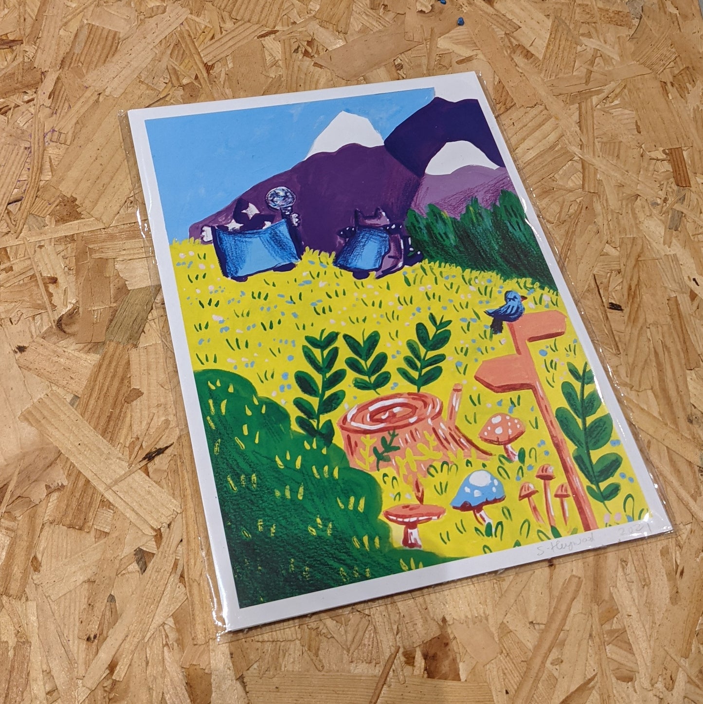 Mage countryside adventures