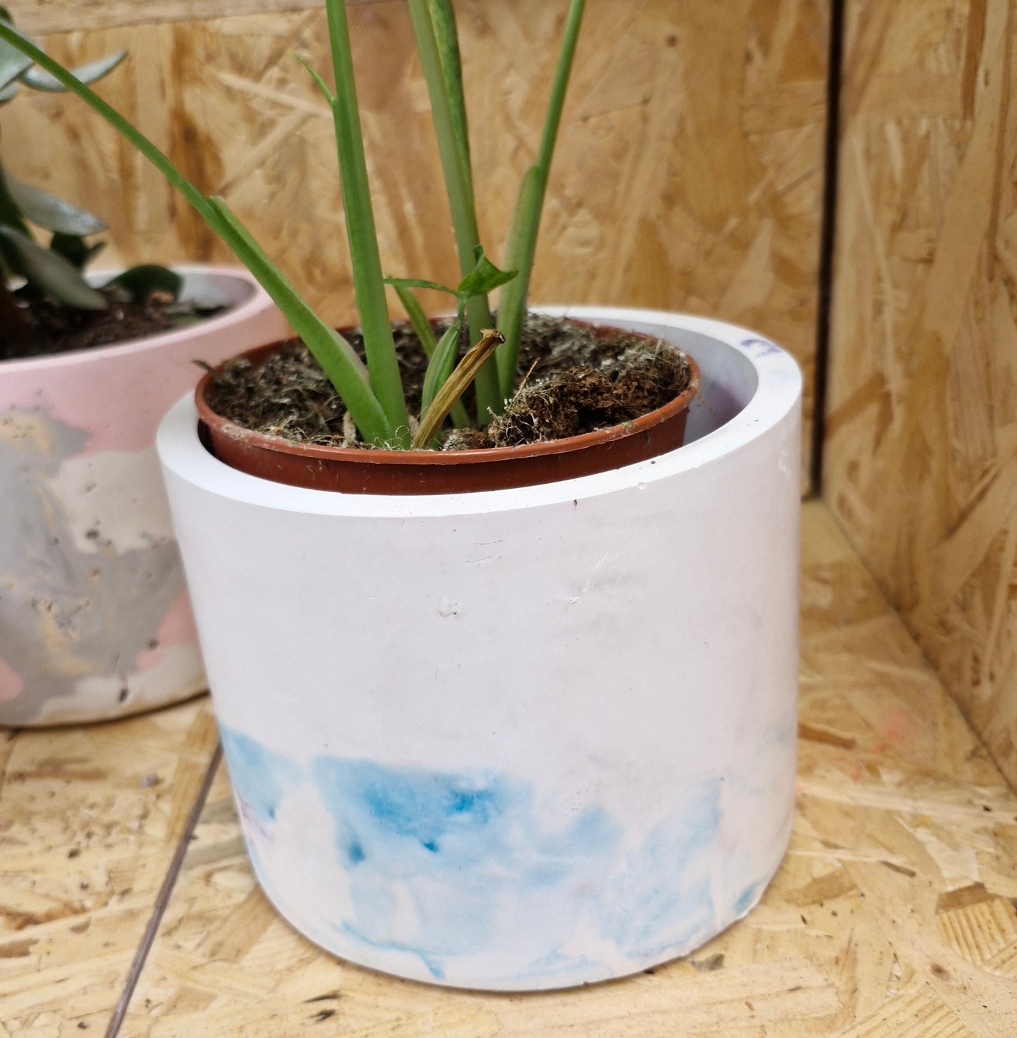 White and blue plant pot 15cm