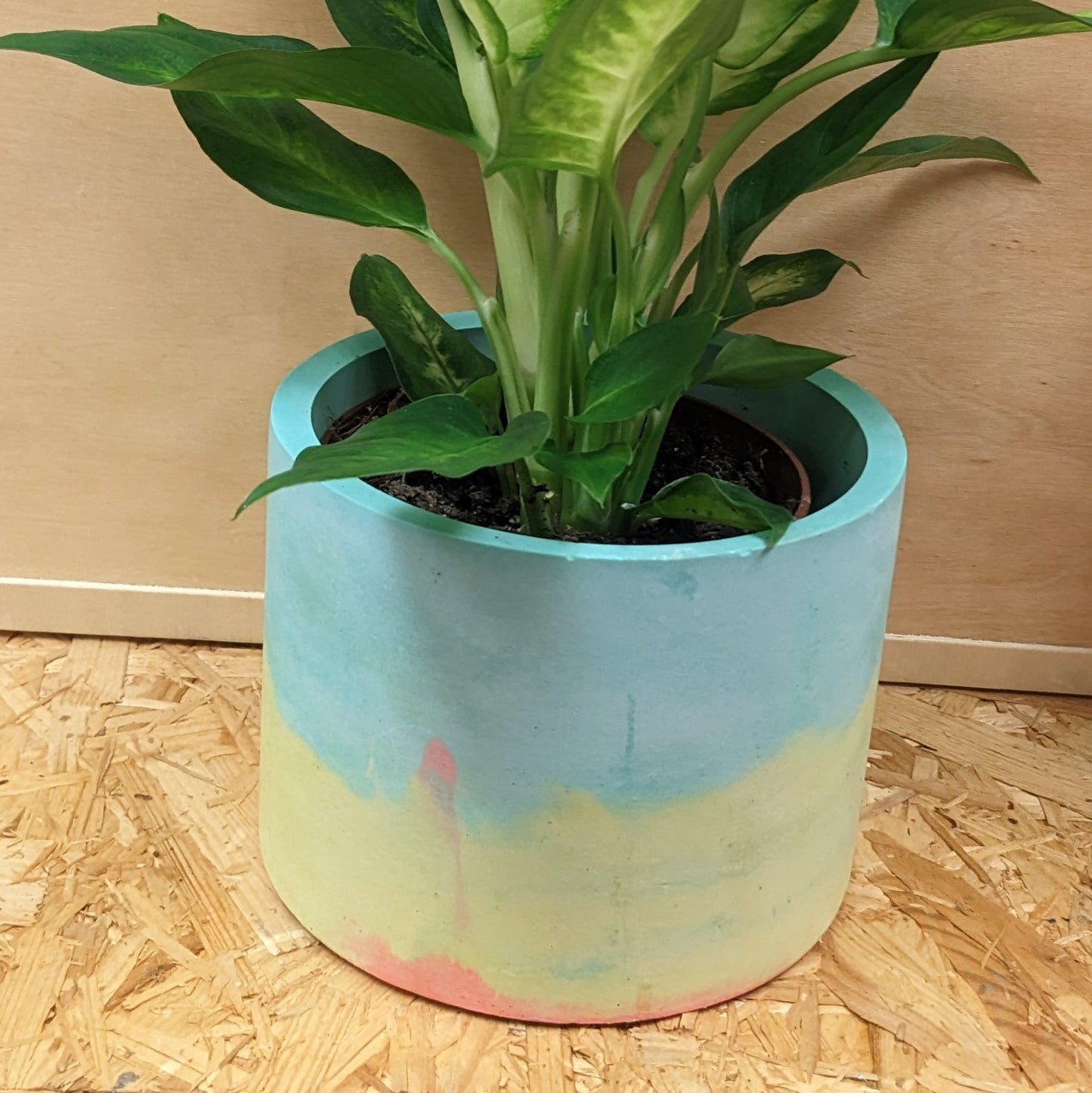 Large blue and yellow plant pot 15cm