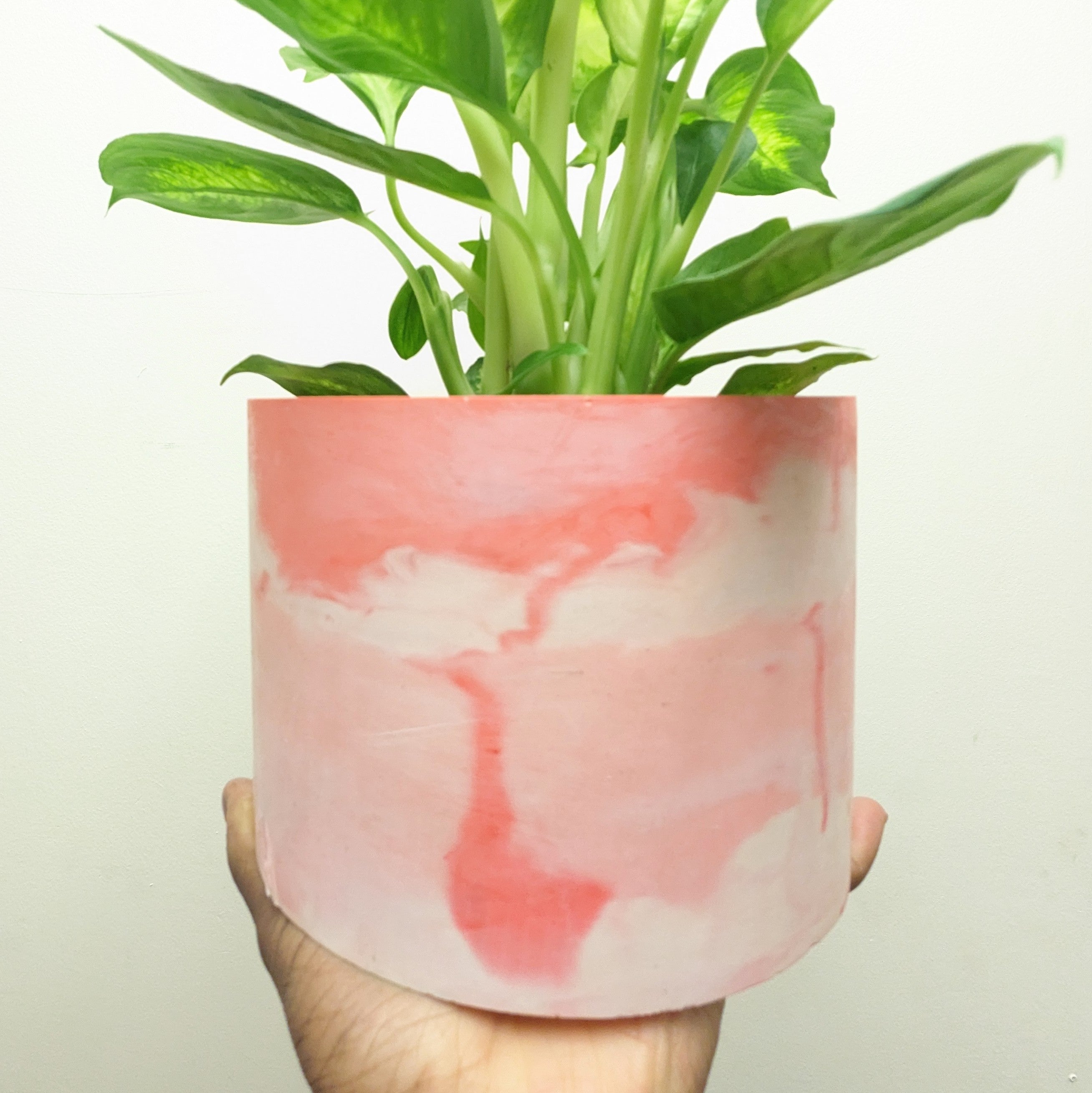 15cm plant deals pot