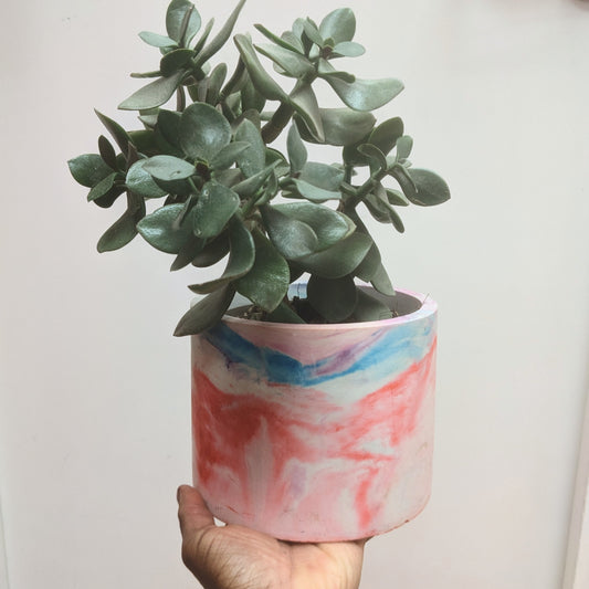 Large pastel plant pot 15cm