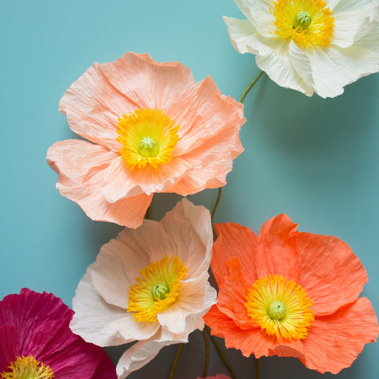 Paper flower craft kit.