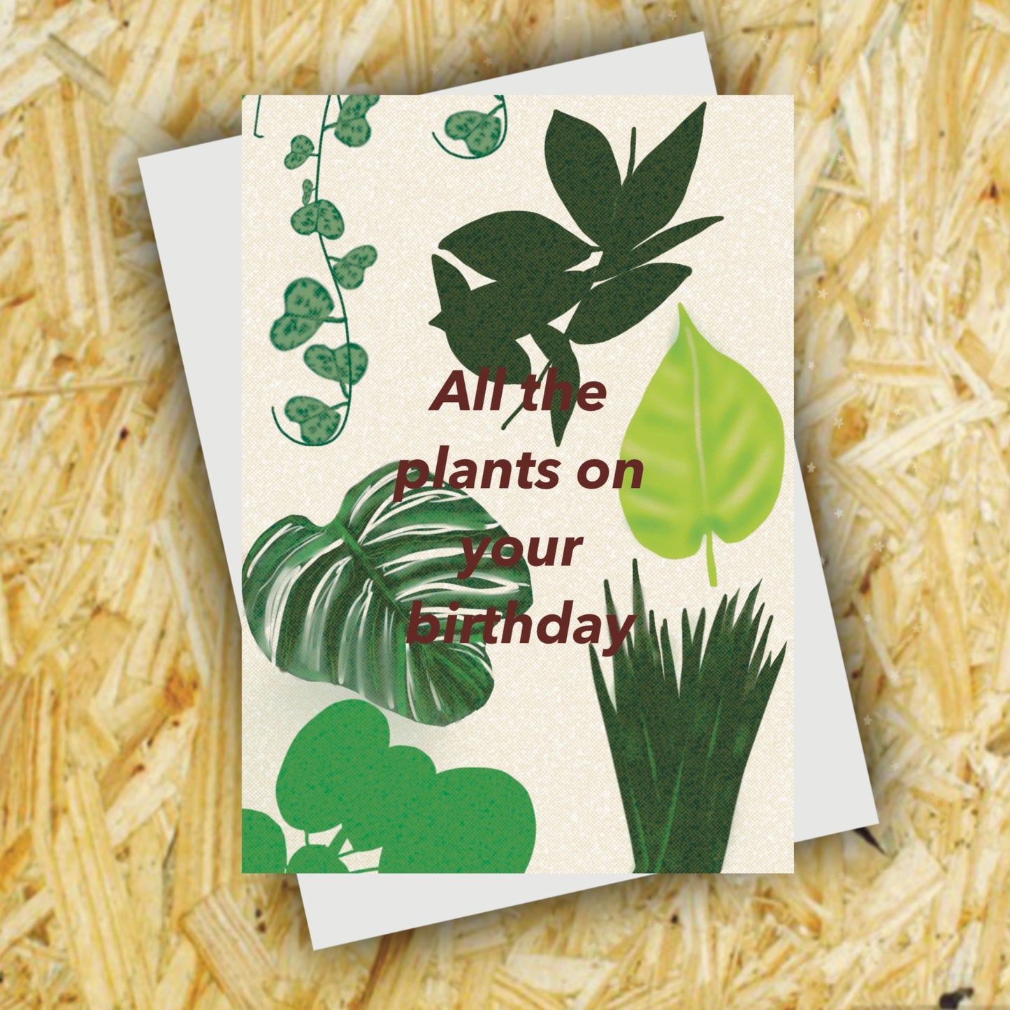 All the plants card