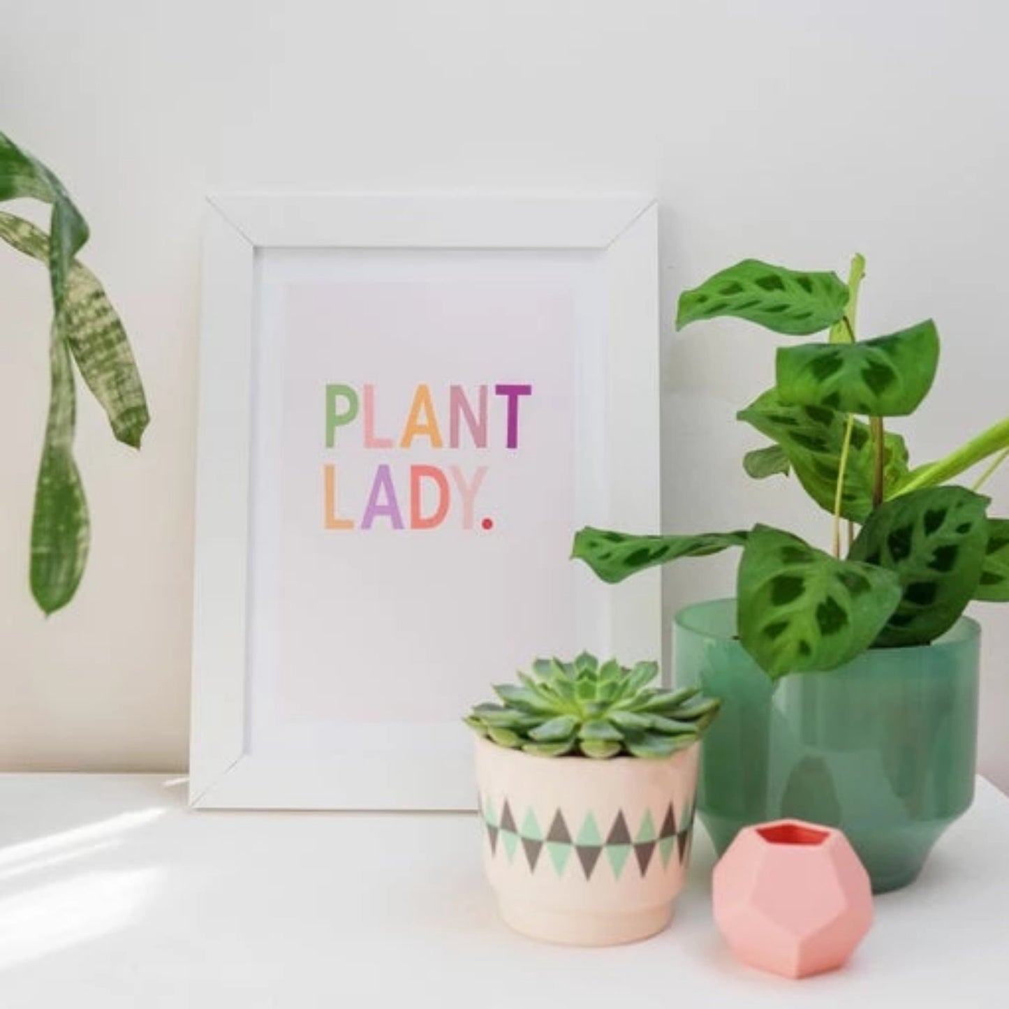 A4 Plant Lady print